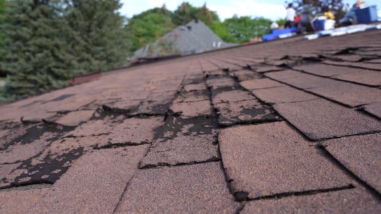 Best Asphalt Shingles Roofing  in Wake Forest, NC