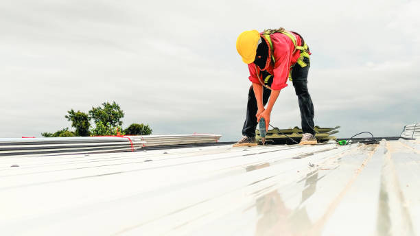 Best Sheet Metal Roofing  in Wake Forest, NC