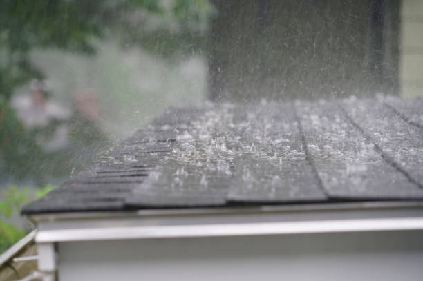 Best Roof Ventilation Installation  in Wake Forest, NC
