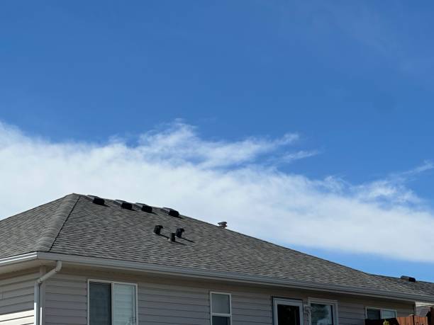 Best Commercial Roofing Services  in Wake Forest, NC